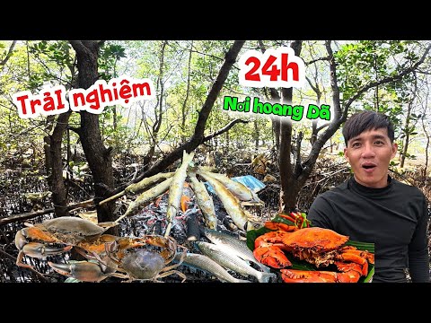 24h sinh tồn nơi hoang Dã trải nghiệm một đêm giữa rừng tràm đầy lạnh lẽo | 24 hour’s solo survival 