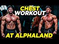 CHEST WORKOUT AT ALPHALAND