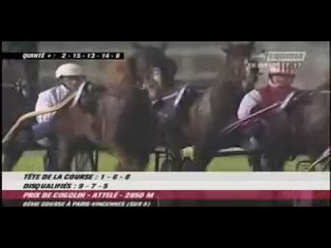 Prix de Cogolin 2005 -Opus Viervil