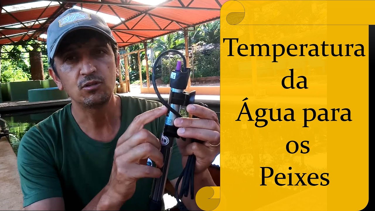 # 28 A Temperatura da água para criação de Peixes.