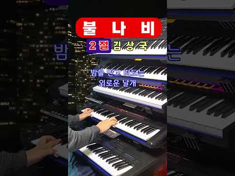 😍 불나비 2절 - 김상국/전자올겐연주/트로트/흘러간 옛노래