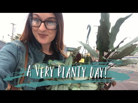 Mahoney’s Trip & Plant Mail Unboxing ( The Plant Hall + Steve’s Leaves)
