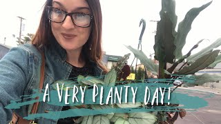 Mahoney’s Trip & Plant Mail Unboxing ( The Plant Hall + Steve’s Leaves)