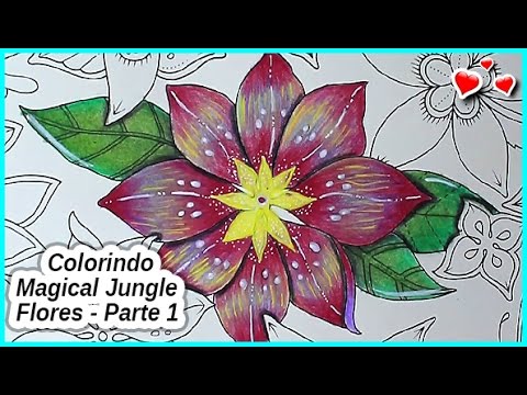 Colorindo Magical Jungle - FLORES - Parte 1