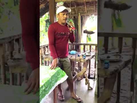 Never Thought That I Could Love (Cover By: Emerson Condino)