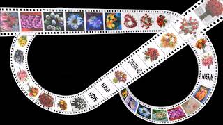 מגן דוד זכוכית