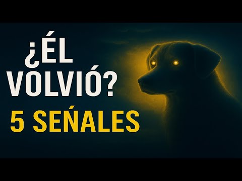Tu Perro Ya Volvió a Ti – Y Ni Te Diste Cuenta