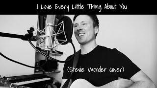 I Love Every Little Thing About You - Stevie Wonder (Acoustic Cover)