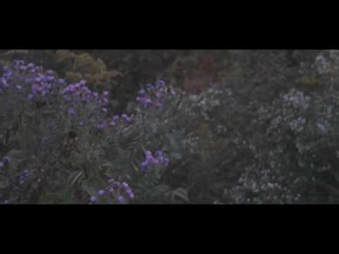 Video thumbnail for Speaker
