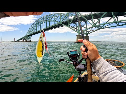 Slow Pitch/Micro Jigging Vs Gulp! | Not Quite The Results I Expected