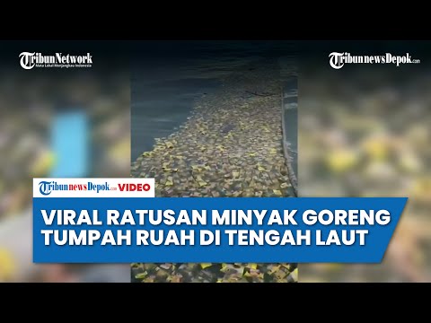 Alvin Lim Ditahan, Kate Victoria Lim Minta Jokowi Turun Tangan Tuntaskan Kasus Ayahnya - Tribunnewsdepok.com