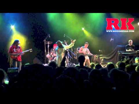 Rod Taylor and Positive Roots Band live at La Clef - St Germain-en-Laye (France - 27 sept  2013)