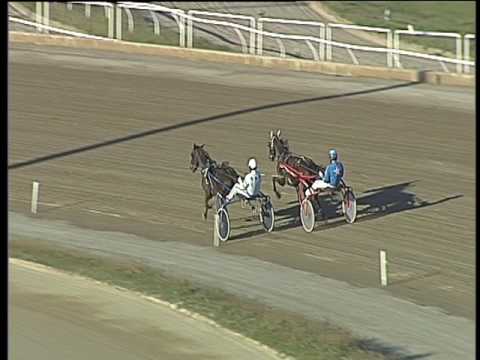 Trotto 26/03/2017 - prova di qualifica