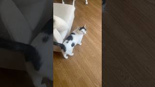 ちゃんと着いてきなさ〜いって言ってるのかな