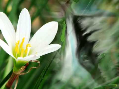 Madarász Katalin Vannak, égő fájó könnyek