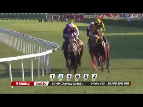 Büyük Taarruz Koşusu (Grup - 2) 28/08/2016