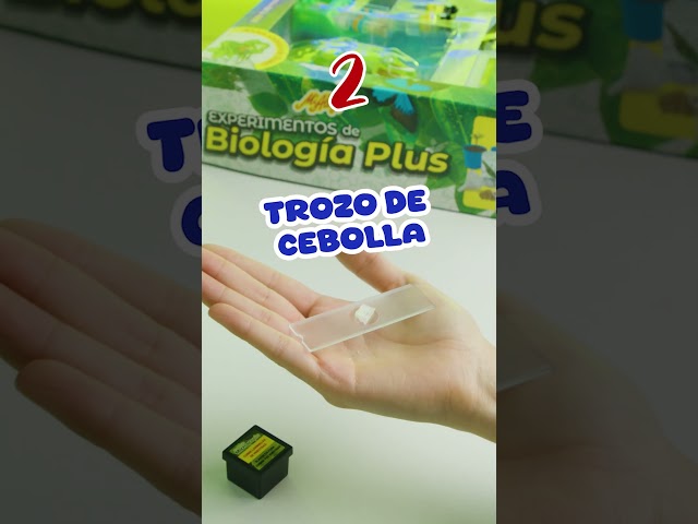 Vídeo relacionado con DAWRIS Tubos de Ensayo Niños, Tubos de Plástico Grandes con Soporte y Pipetas Cuentagotas para Experimentos Científicos Creativos, Juguetes Educativos, Kits de Cienciapara el Hogar