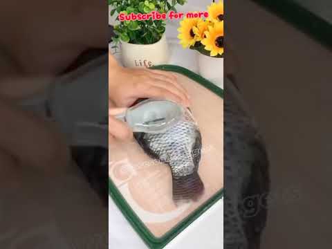 Fish scale remover