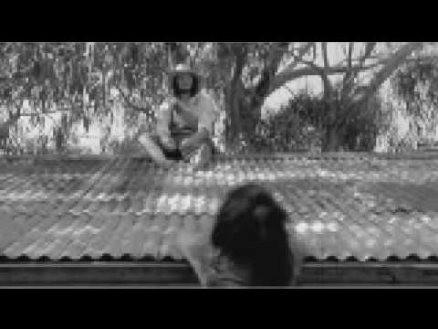 The Ultimate Zombie Survival Guide