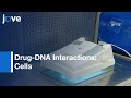 Genome Wide Mapping Drug DNA Interactions In Cells With COSMIC