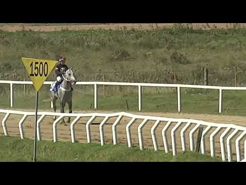 HIPODROMO SINT FLORIDA - 220421 c01 1° KELPIES