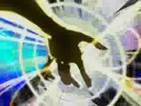 Shaka vs Saga ,Camus and Shura