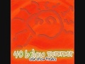 40 Below Summer - Little Lover