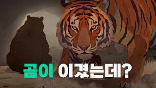 곰한테 진 호랑이가 한국의 얼굴이 된 이유