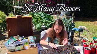All the Flower Seeds I’m Starting for My 2026 Spring Garden 🌸 40 Varieties (With Bloom Photos)