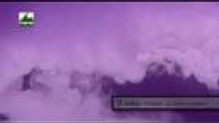 Bài hát A Night In Fairyland - Nghệ sĩ trình bày Narsilion