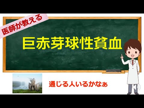 看護師国試問題は16分23秒〜 巨赤芽球性貧血解説【看護学生向け】