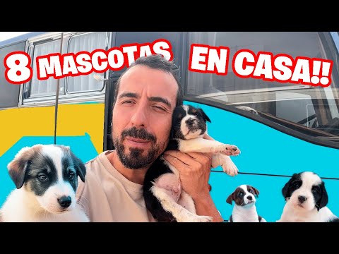 Familia encuetra ¡8 MASCOTAS Descontroladas en mi Casa Rodante!
