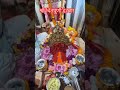 Daily Live Darshan Maa Chintpurni Darbar Jaimatadi Sonuchintpurni Chintapurni