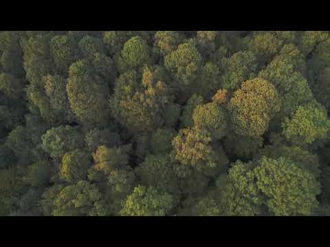 High Wood Summer 2019.