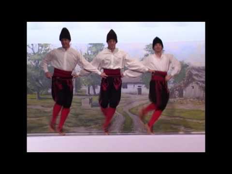 Sopska Trojka - Ravna Gora 2010