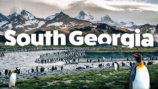 South Georgia: The Most Beautiful Place You&#39;ve Never Heard Of