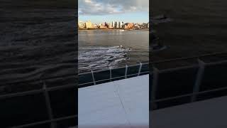 J&D on the sea #cruise #carnival  #newyorkcity  #carribean #batman