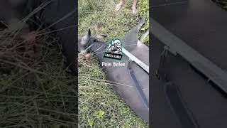 Download lagu GILAA MONEL 6000 Psi (PCP MONEL Hantu Rimba)💯Full BIG GAME|| 0895-3851-51273#pcpbiggame#pcpjawa mp3