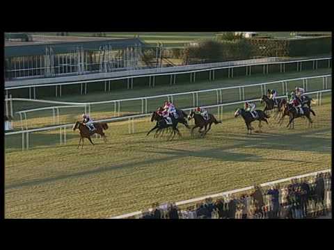 2017-02-19 Corsa n6 m15000 Premio Armando e Roberto Renzoni