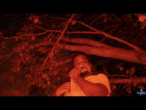 JIMMY (HEZGANG JV) - MURDA