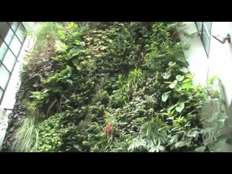 Istok Media - Capitol