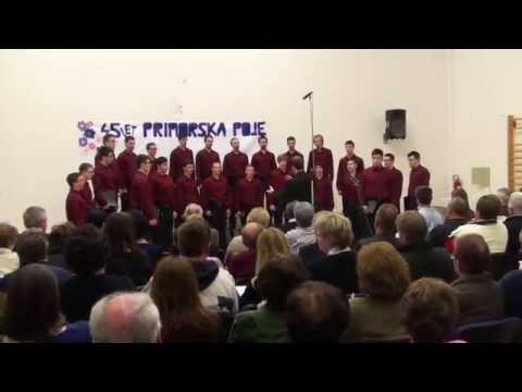 PAZ Vinko Vodopivec - Bori (A. Srebotnjak)