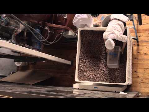 Thumbnail for "A Cacao Seed Grows in Brooklyn" for Lincoln Motor Company by Lincoln Motor Company