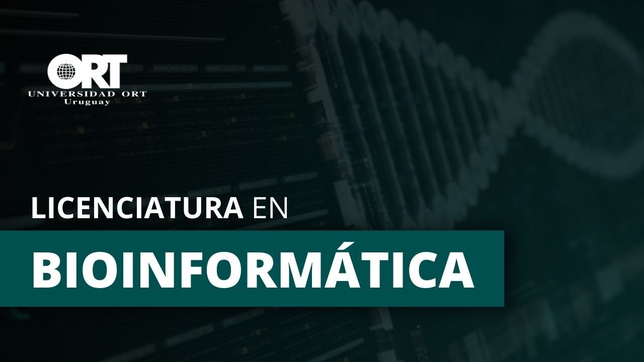 Imagen de previsualización de video