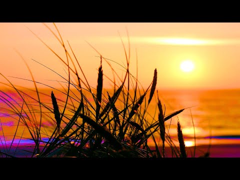 Vom Schatten ins Licht - Uwe Sauer (*special version)