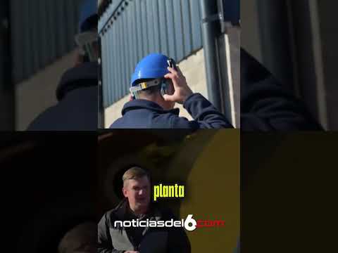 #Andresito #Misiones #Bambu #Industria #Empleo #Produccion #EconomiaRegional #Viral #ParaTi #FYP