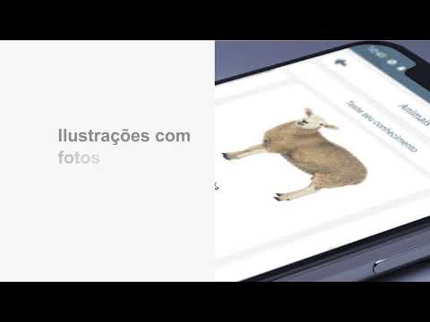 Aprender Francês Video