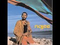Najee - Sweet Love - 1996