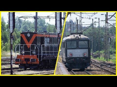 Pociągi na stacji Katowice Ligota | 4K