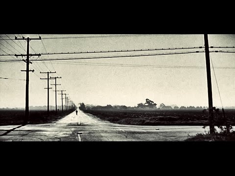 12 MONOS Y MEDIO  pelicula completa AUDIO ESPAÑOL